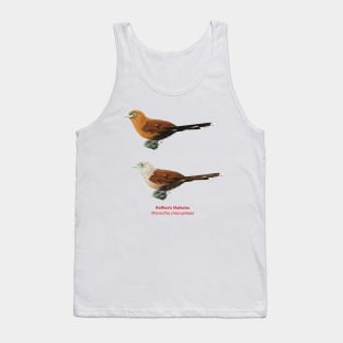 Raffles's Malkoha | Rhinortha chlorophaea ⚥ Tank Top